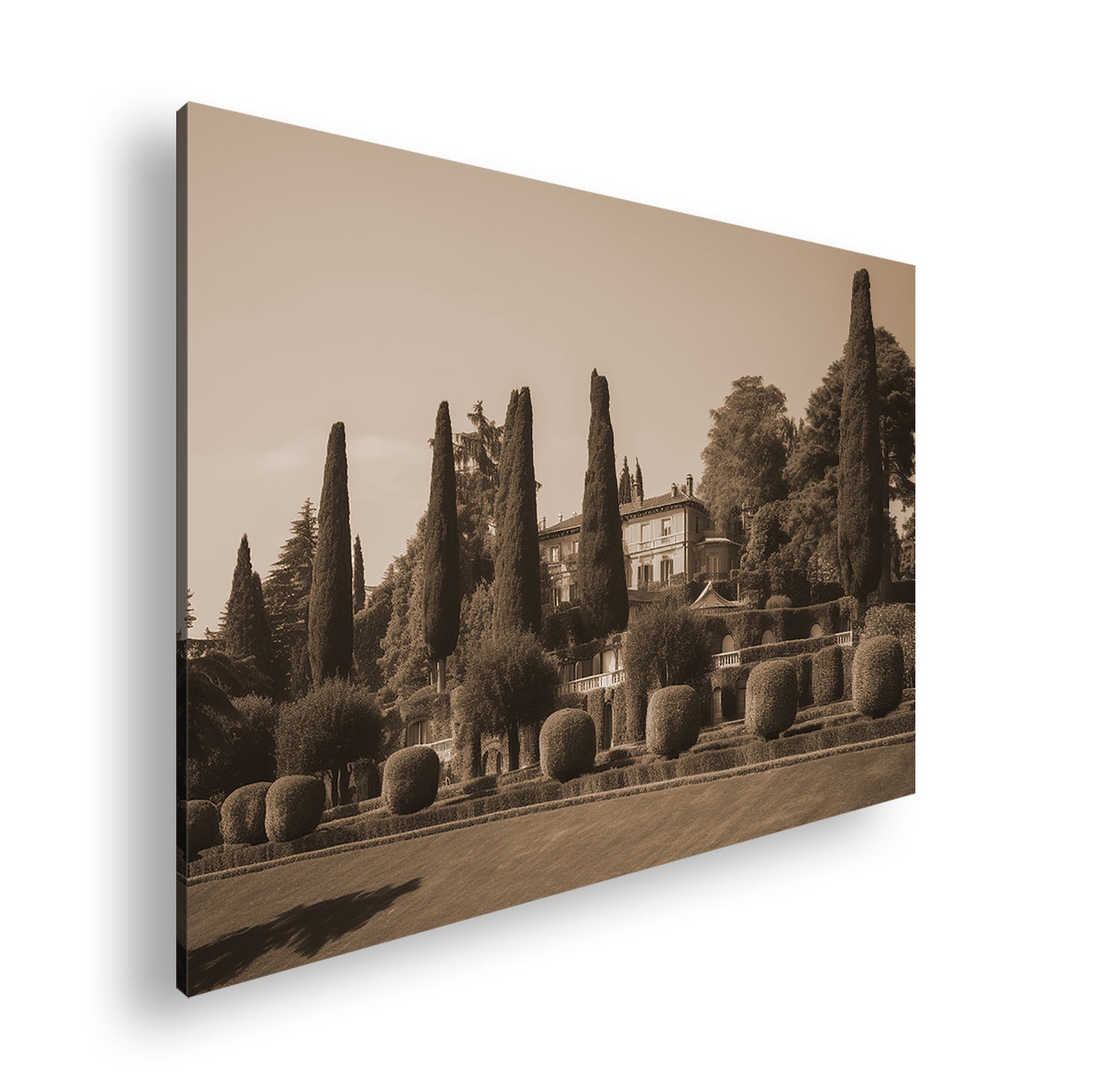 Hauptbild Sepia Standart