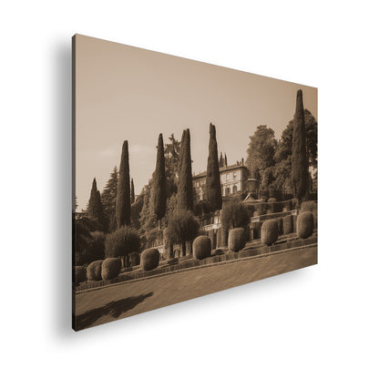 Hauptbild Sepia Standart