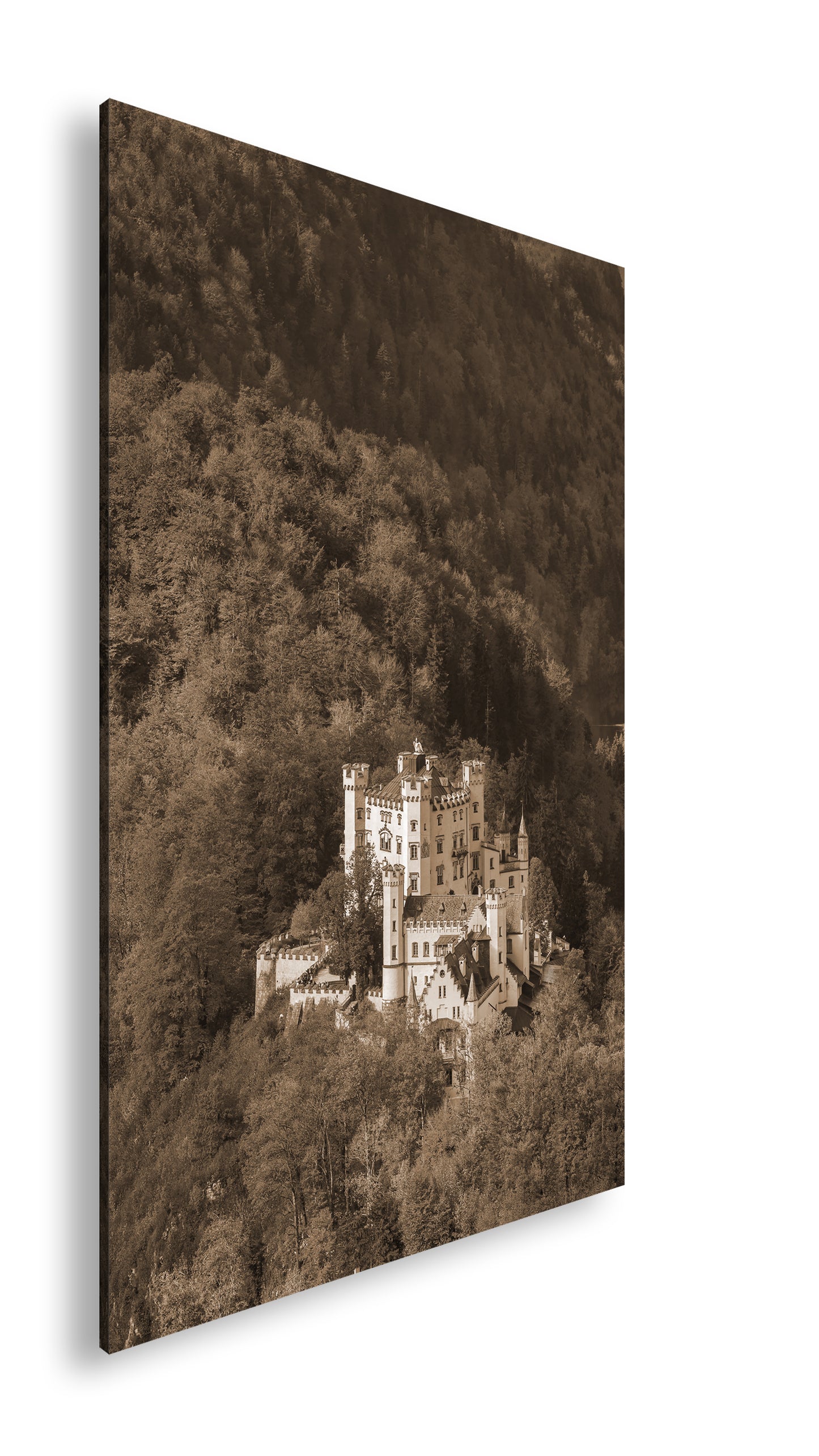 Hauptbild Sepia Standart