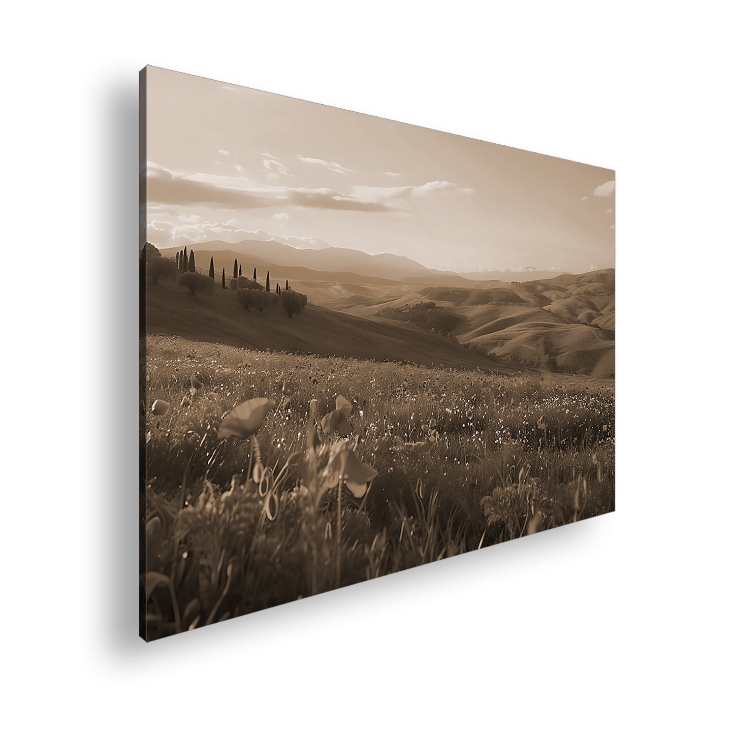 Hauptbild Sepia Standart