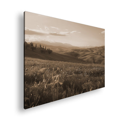 Hauptbild Sepia Standart