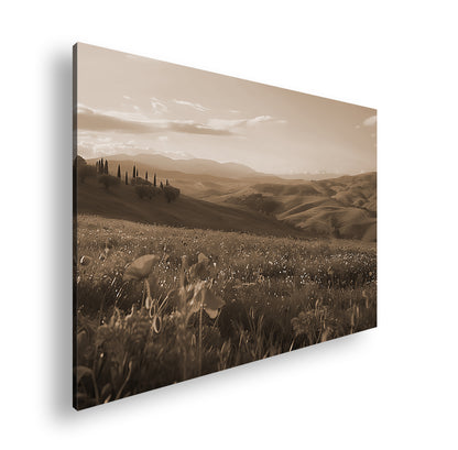 Hauptbild Sepia Standart