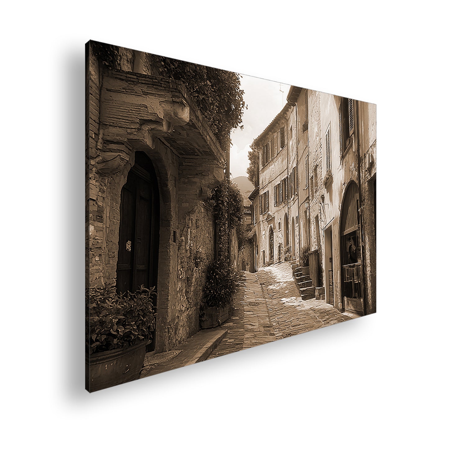 Hauptbild Sepia Standart