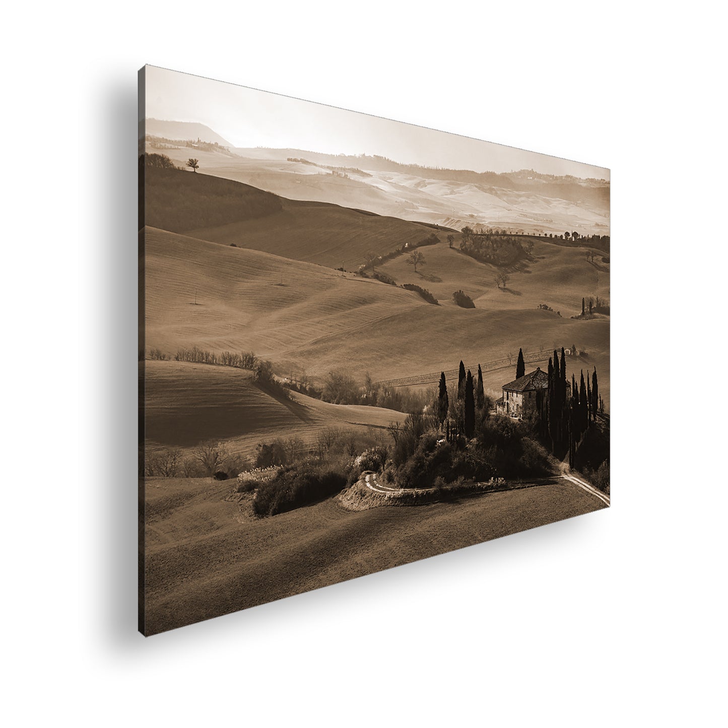 Hauptbild Sepia Standart