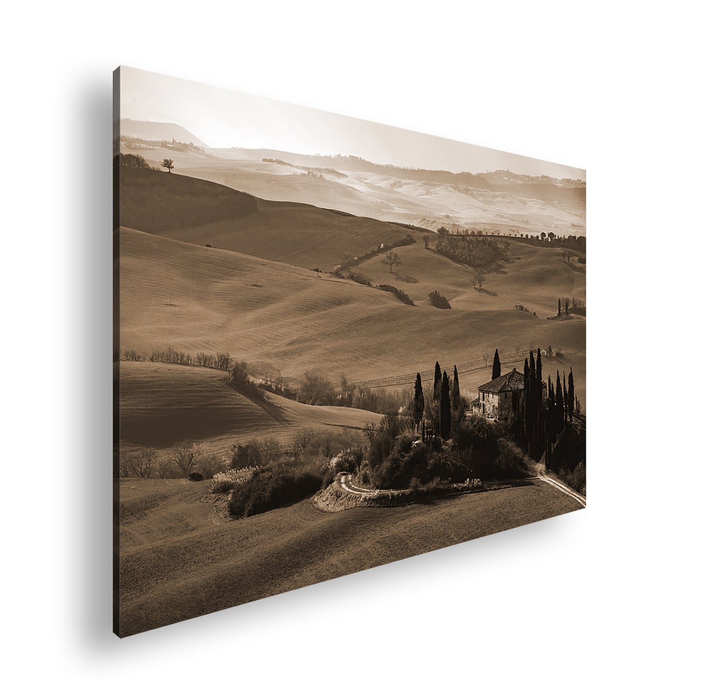 Hauptbild Sepia Standart