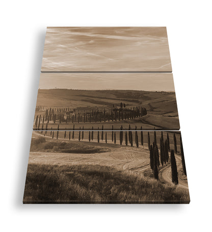 Hauptbild Sepia 3 Teilig