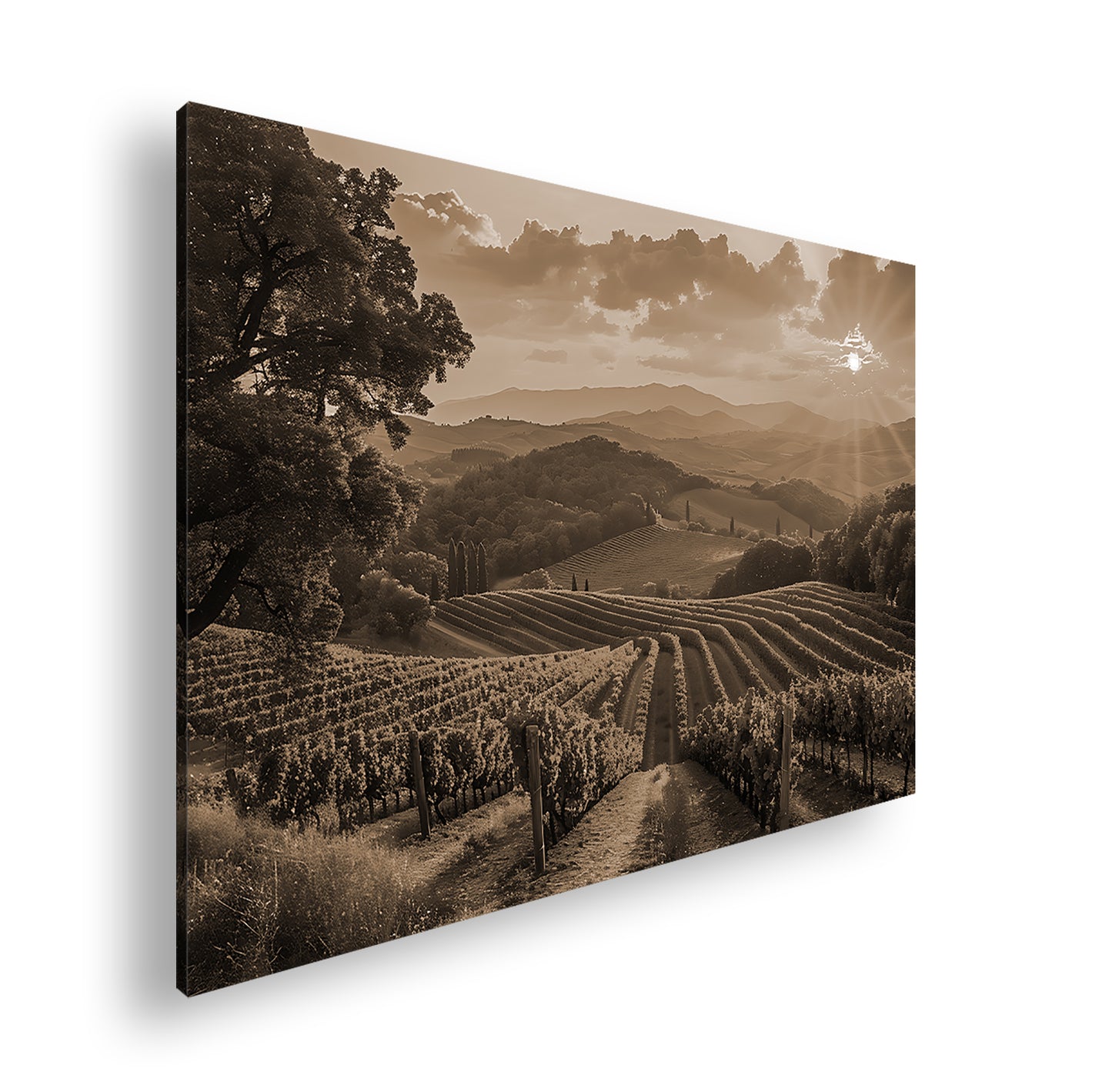 Hauptbild Sepia Standart