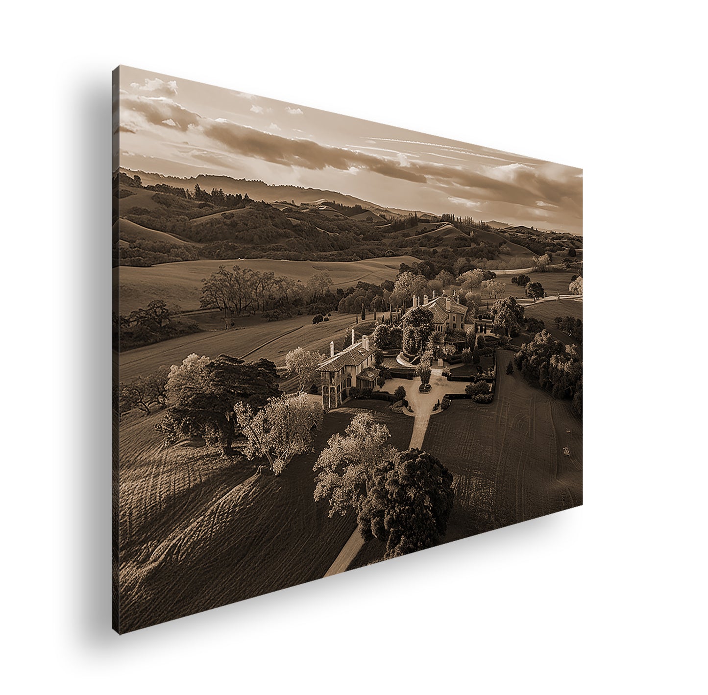 Hauptbild Sepia Standart