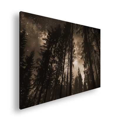 Hauptbild Sepia Standart