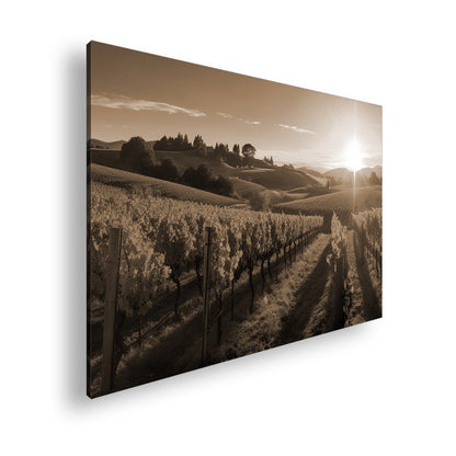 Hauptbild Sepia Standart