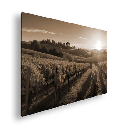 Hauptbild Sepia Standart