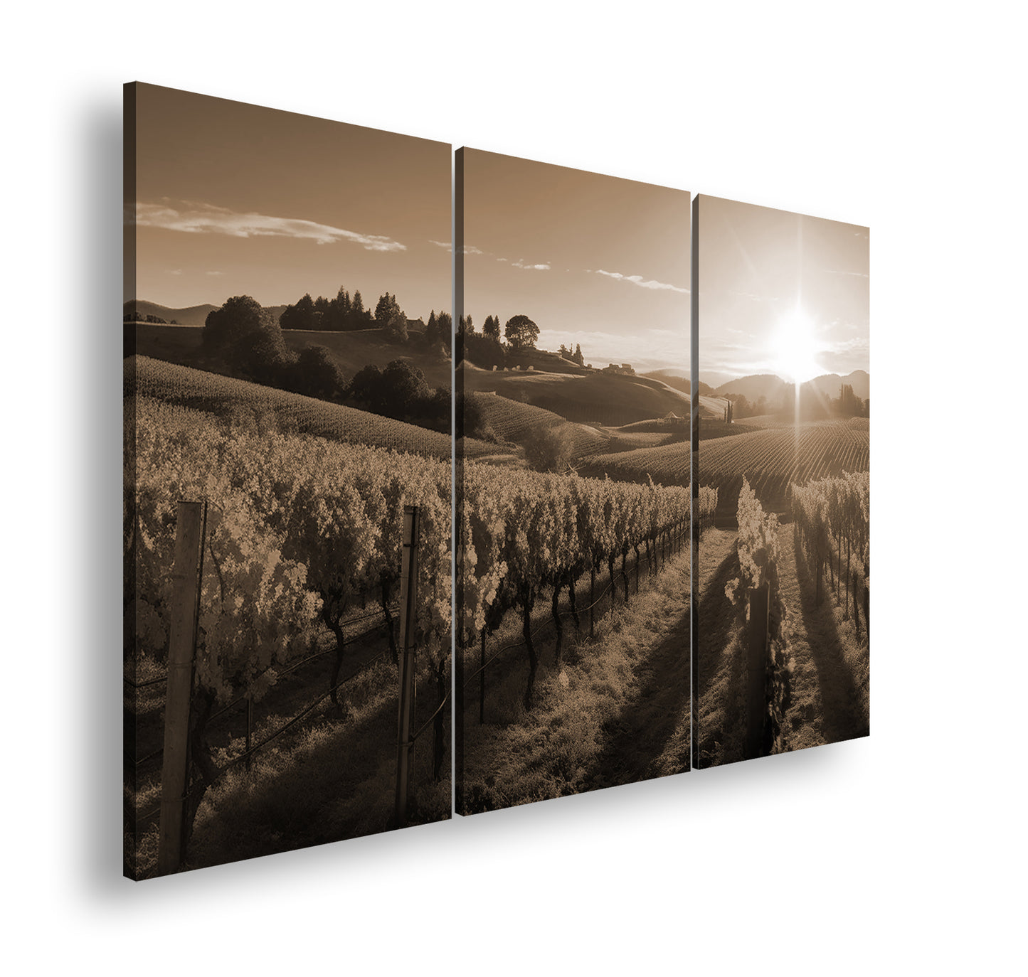 Hauptbild Sepia 3 Teilig