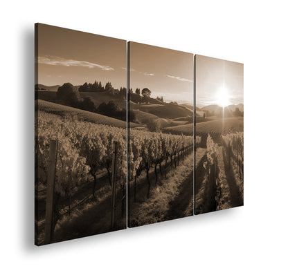 Hauptbild Sepia 3 Teilig