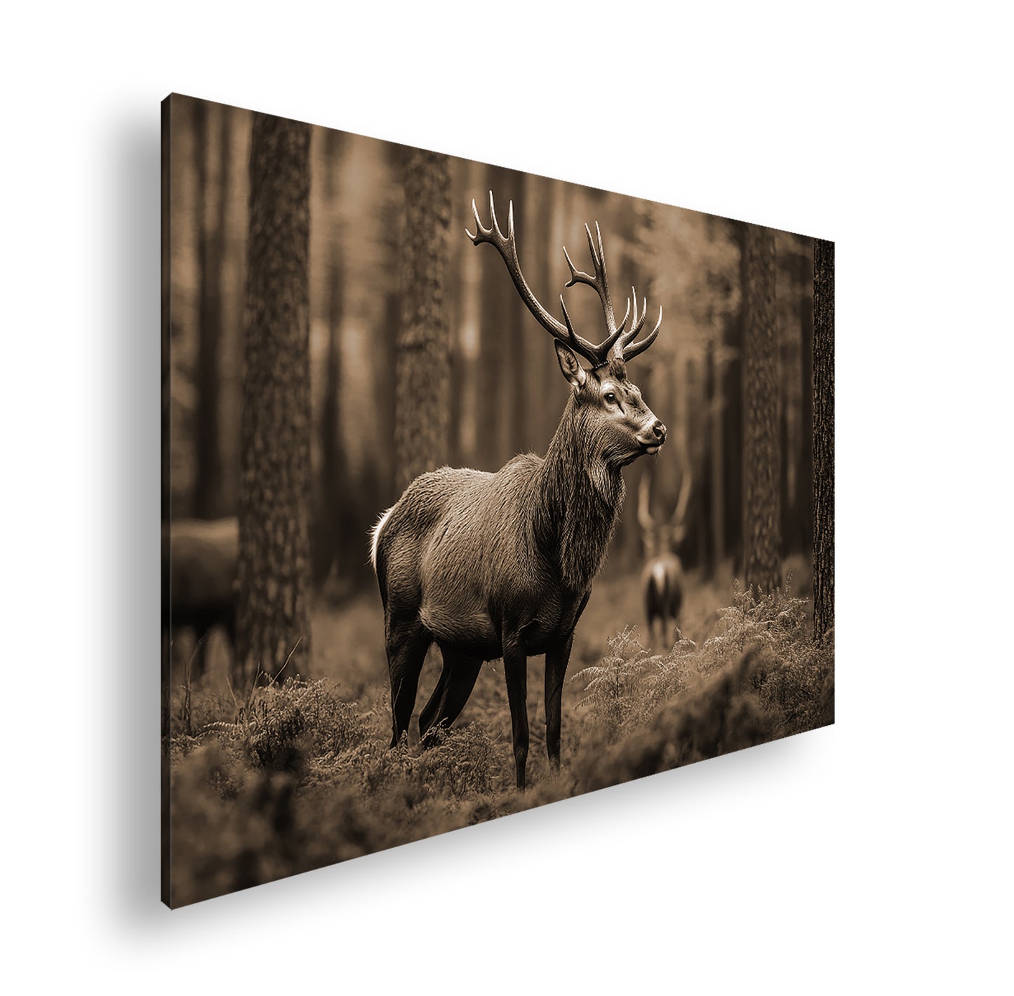 Hauptbild Sepia Standart