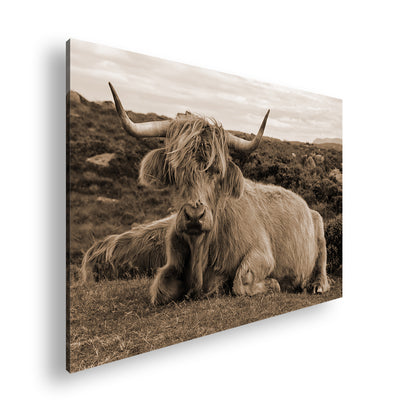 Hauptbild Sepia Standart