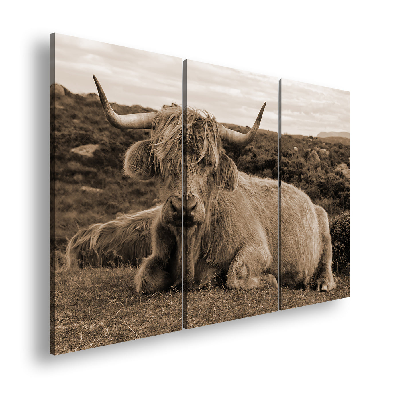 Hauptbild Sepia 3 Teilig