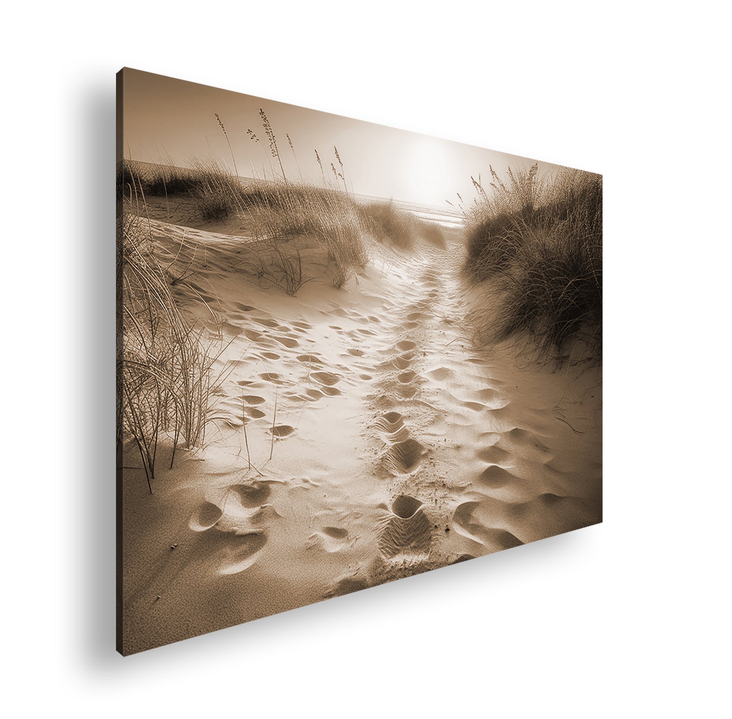 Hauptbild Sepia Standart