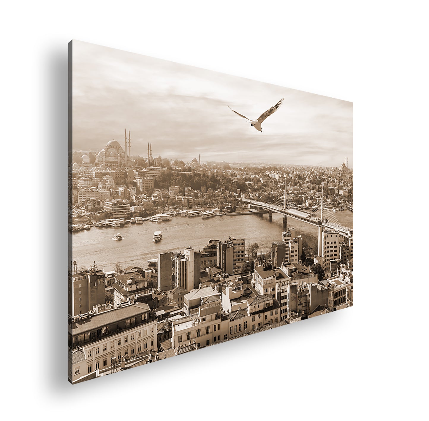 Hauptbild Sepia Standart