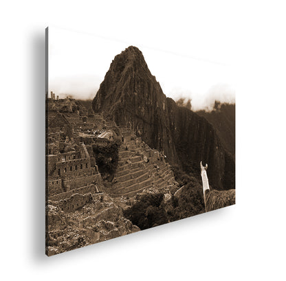 Hauptbild Sepia Standart