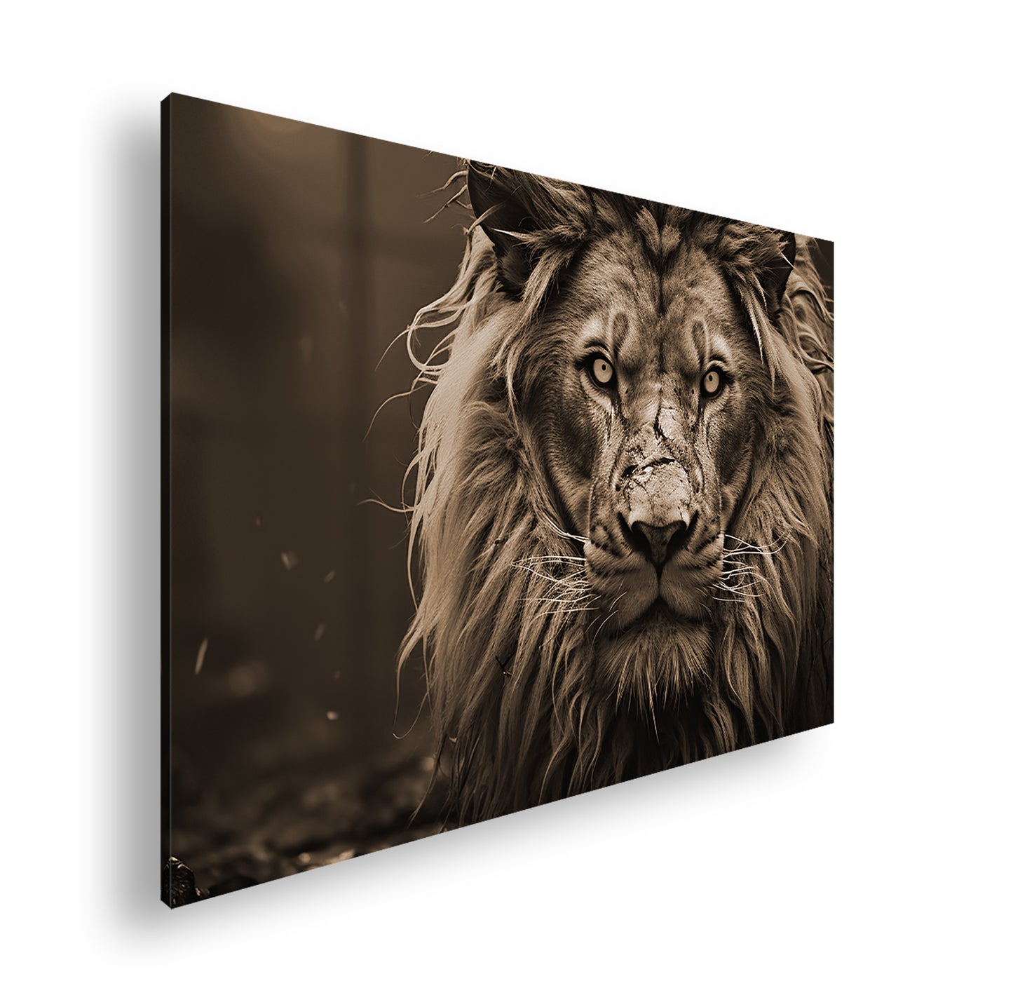 Hauptbild Sepia Standart