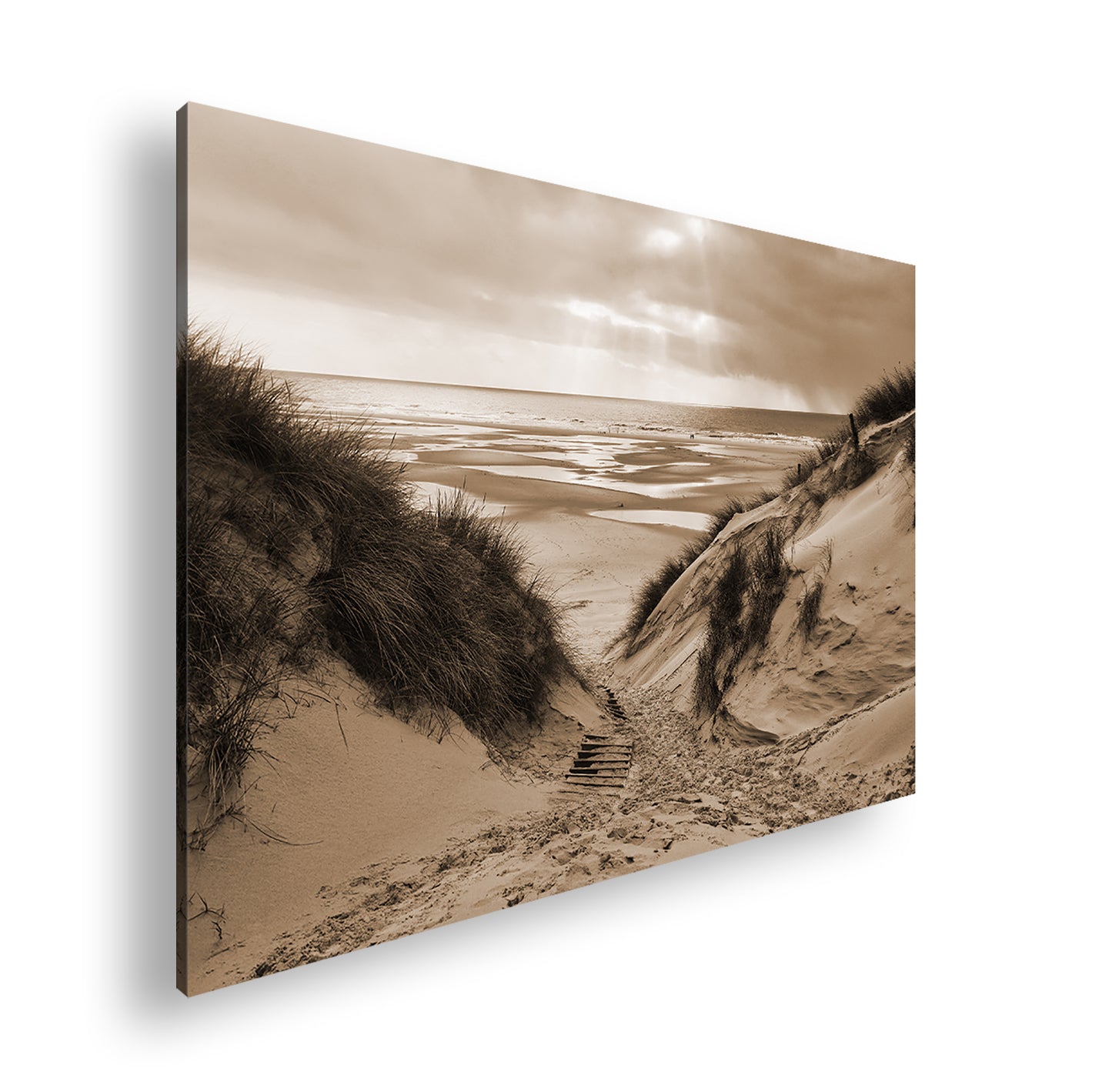 Hauptbild Sepia Standart