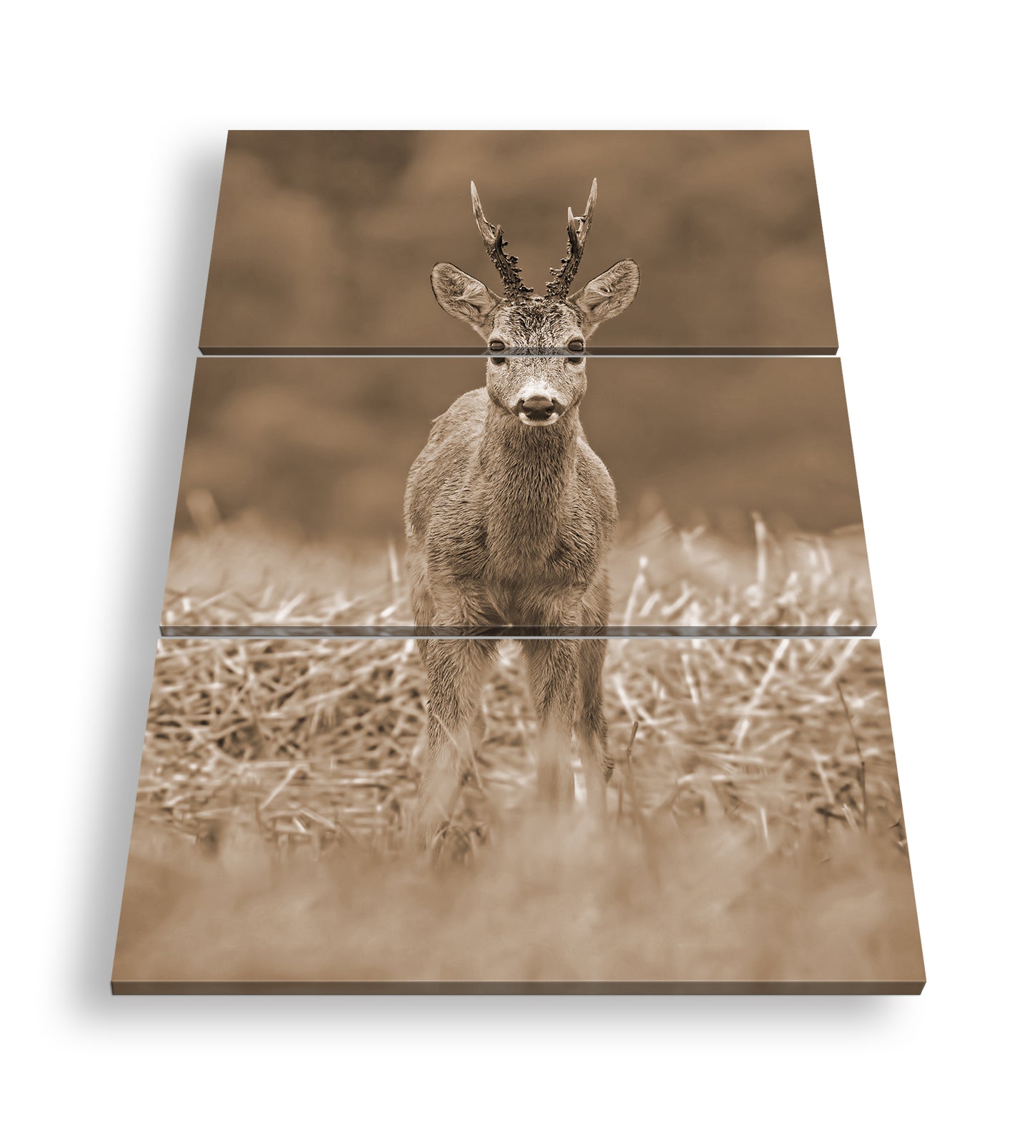 Hauptbild Sepia 3 Teilig