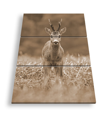 Hauptbild Sepia 3 Teilig