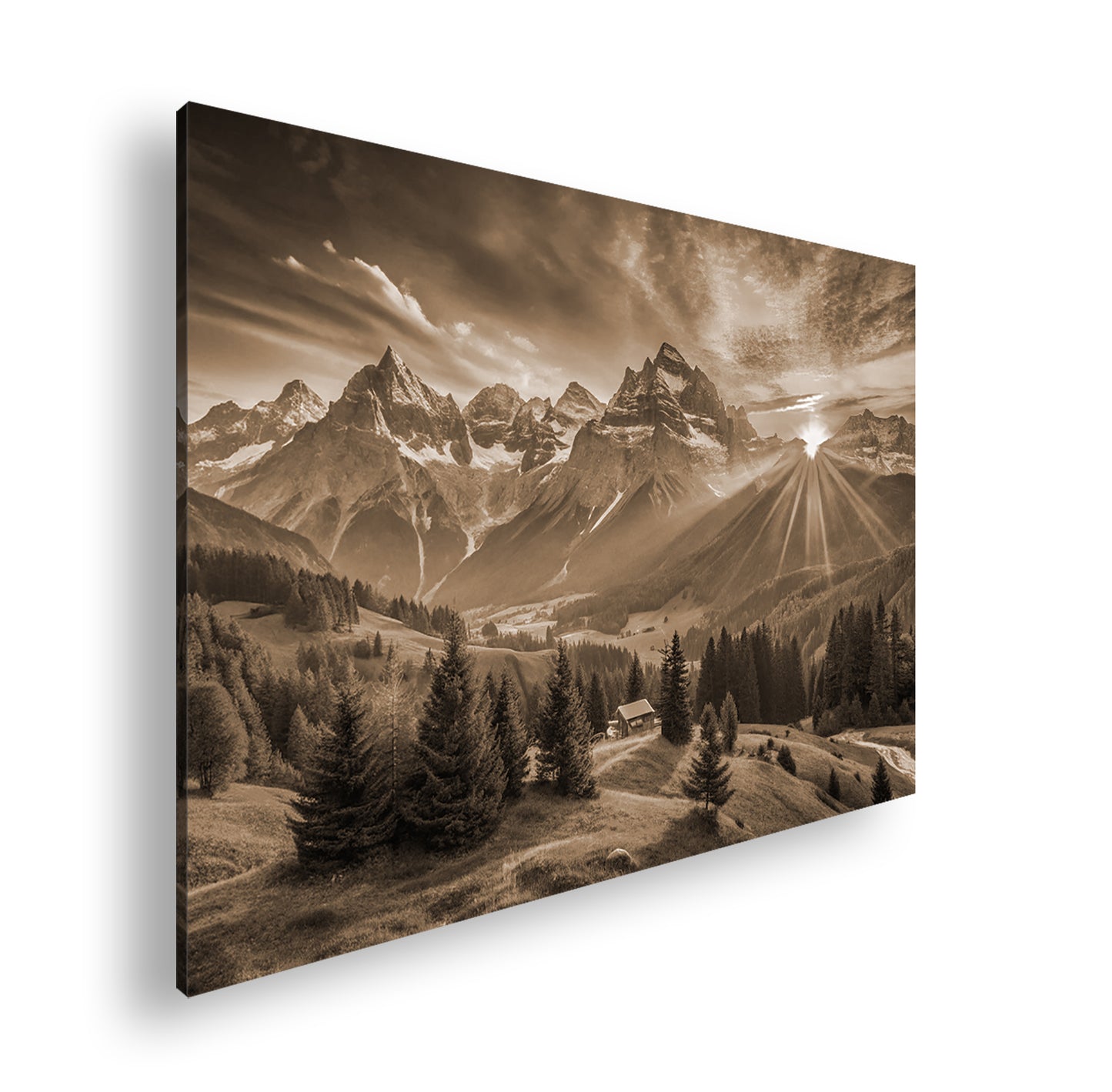 Hauptbild Sepia Standart