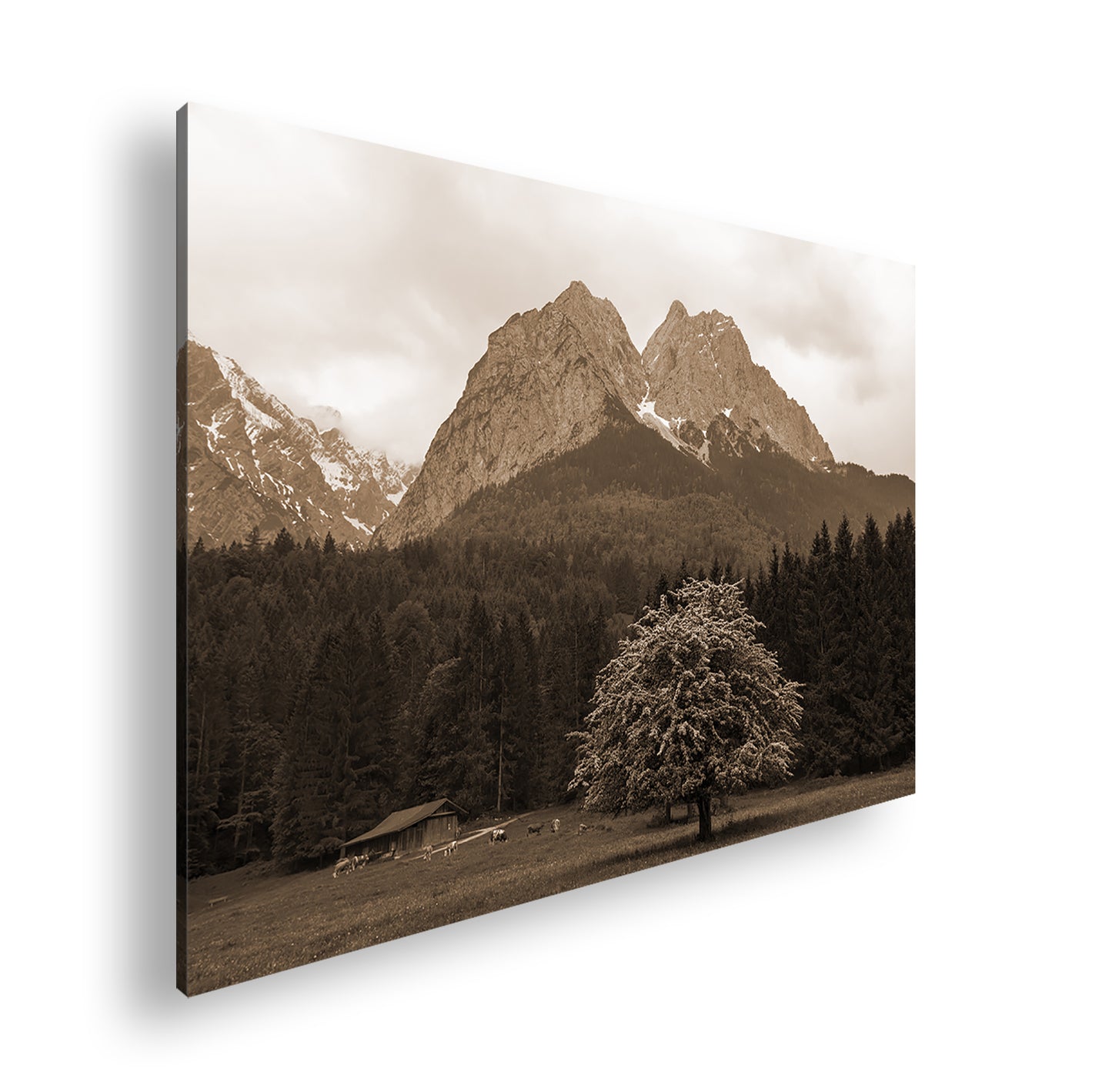 Hauptbild Sepia Standart