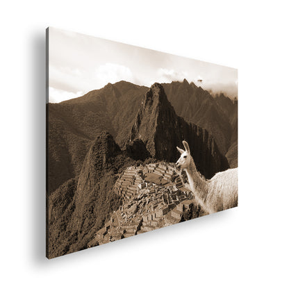 Hauptbild Sepia Standart