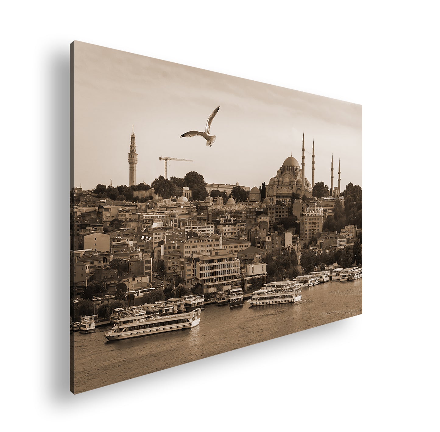 Hauptbild Sepia Standart