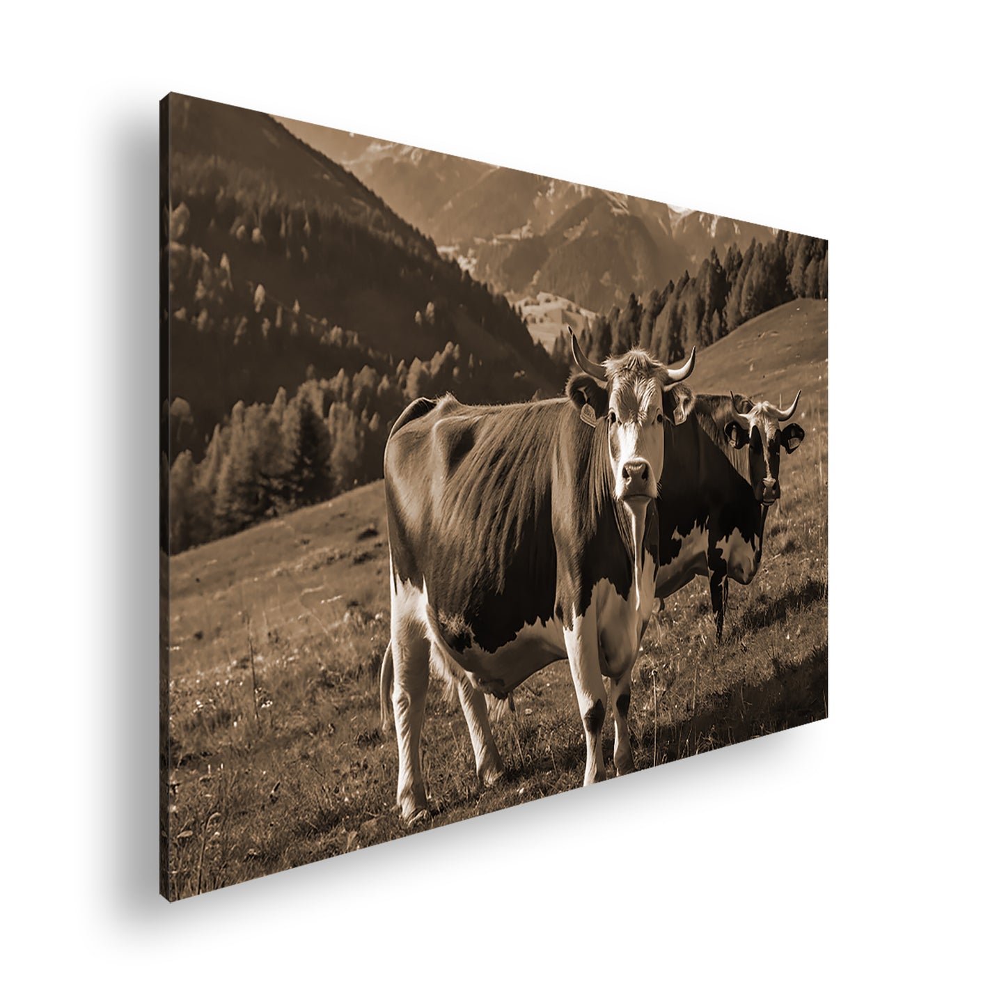 Hauptbild Sepia Standart