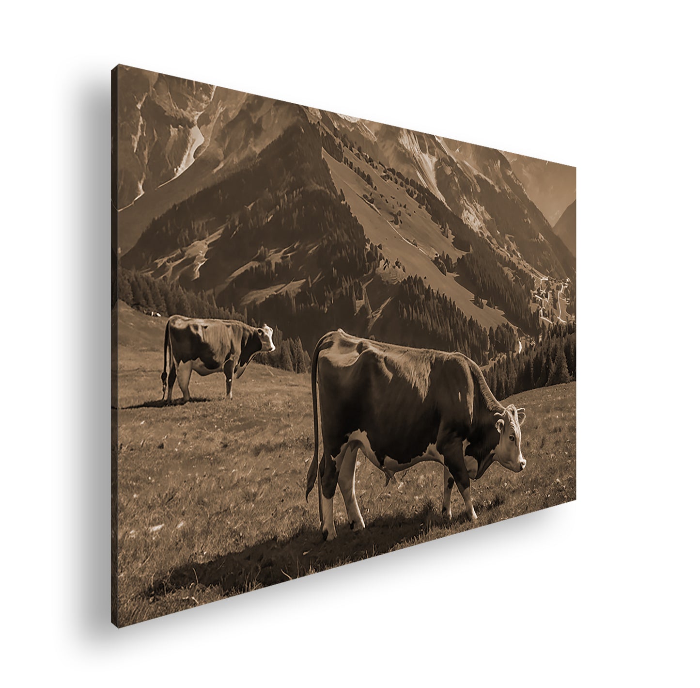 Hauptbild Sepia Standart