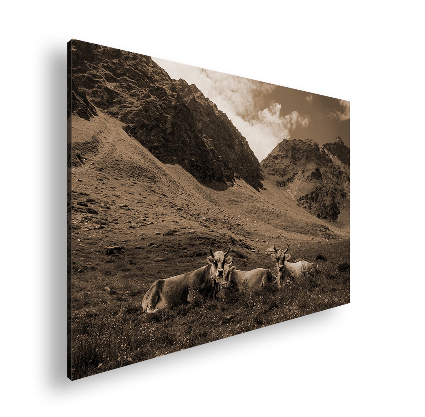 Hauptbild Sepia Standart