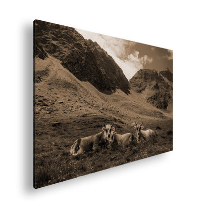 Hauptbild Sepia Standart