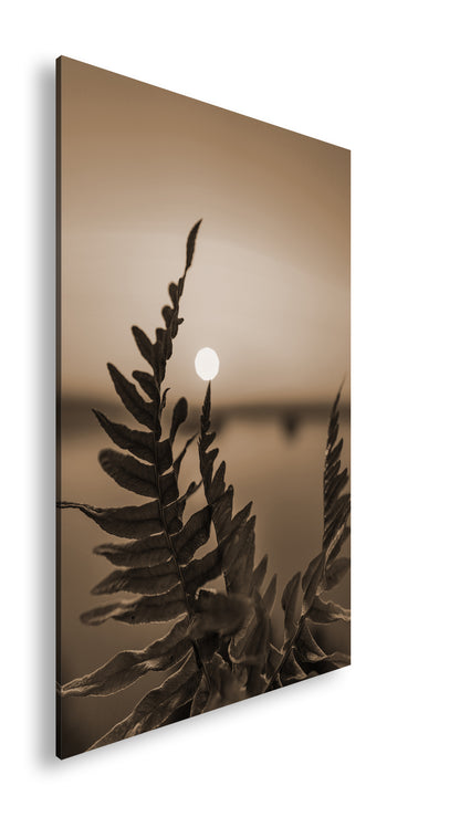 Hauptbild Sepia Standart