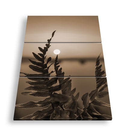 Hauptbild Sepia 3 Teilig