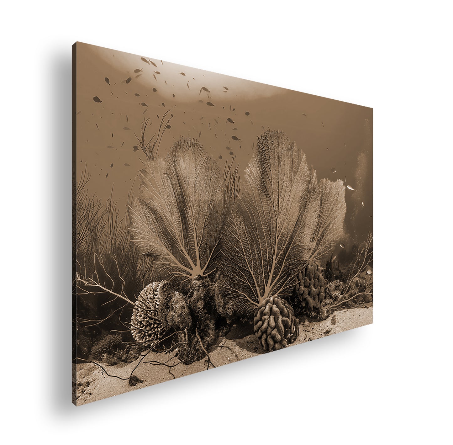 Hauptbild Sepia Standart