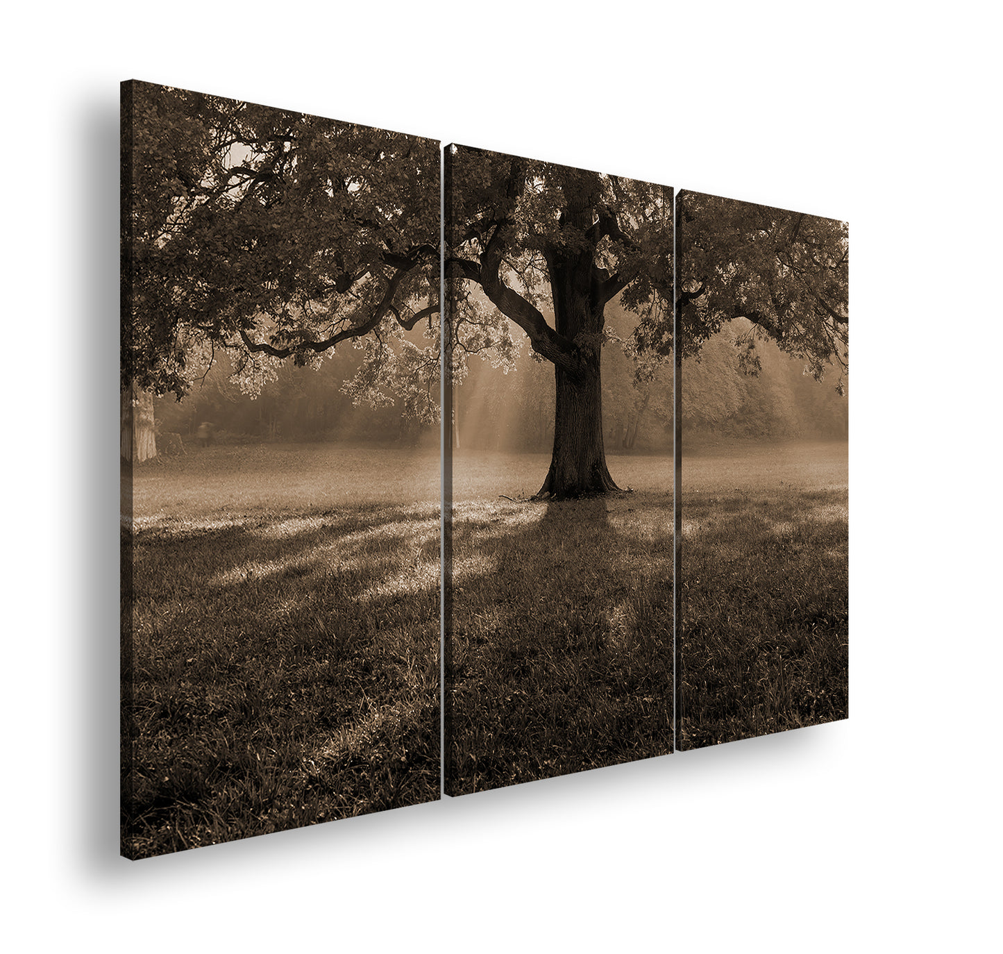 Hauptbild Sepia 3 Teilig