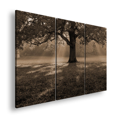 Hauptbild Sepia 3 Teilig