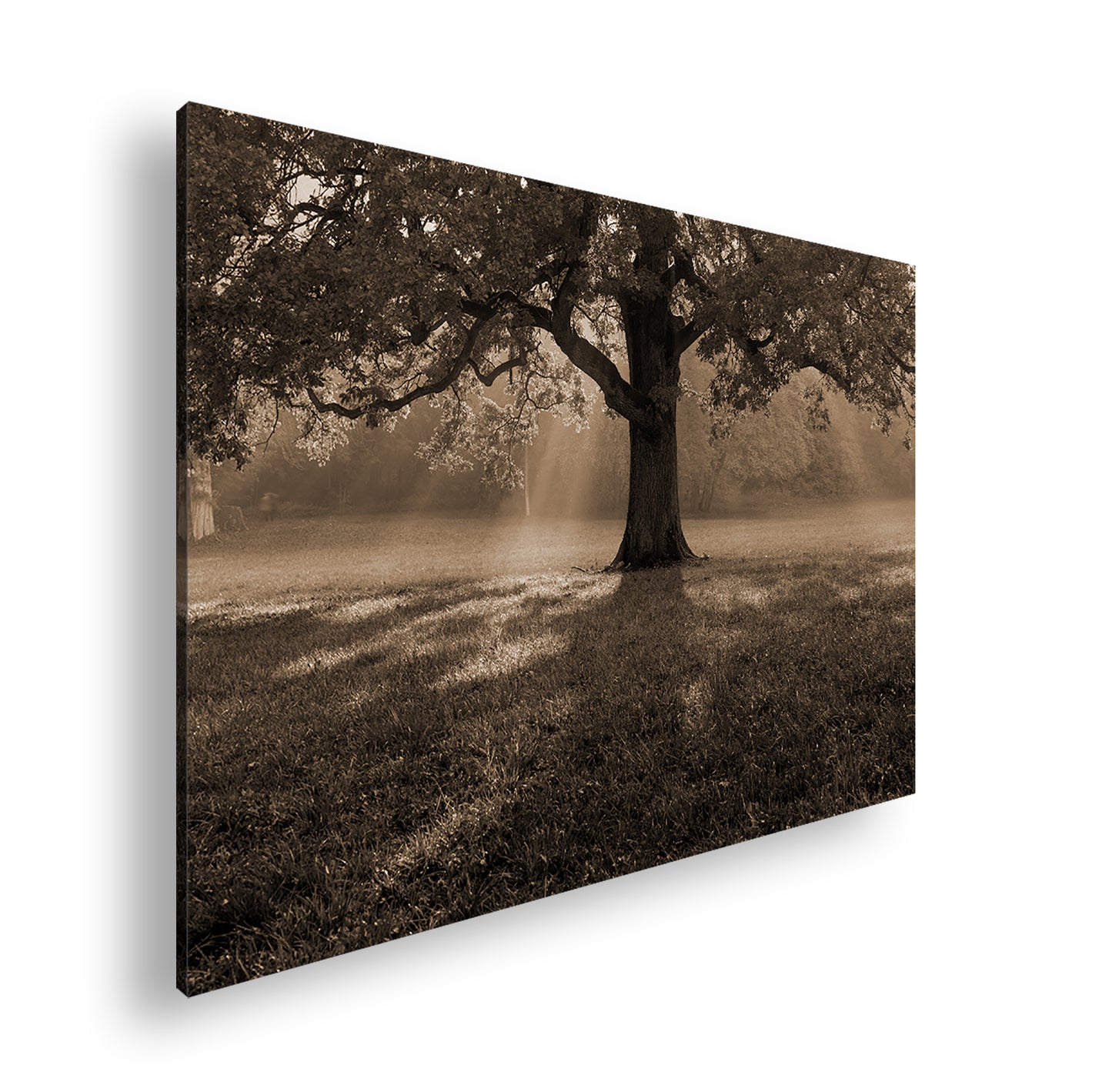 Hauptbild Sepia Standart