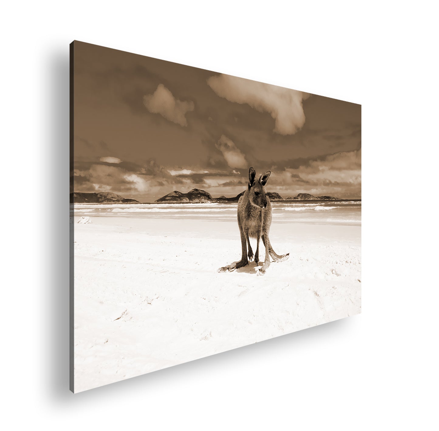 Hauptbild Sepia Standart