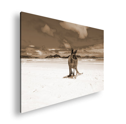 Hauptbild Sepia Standart