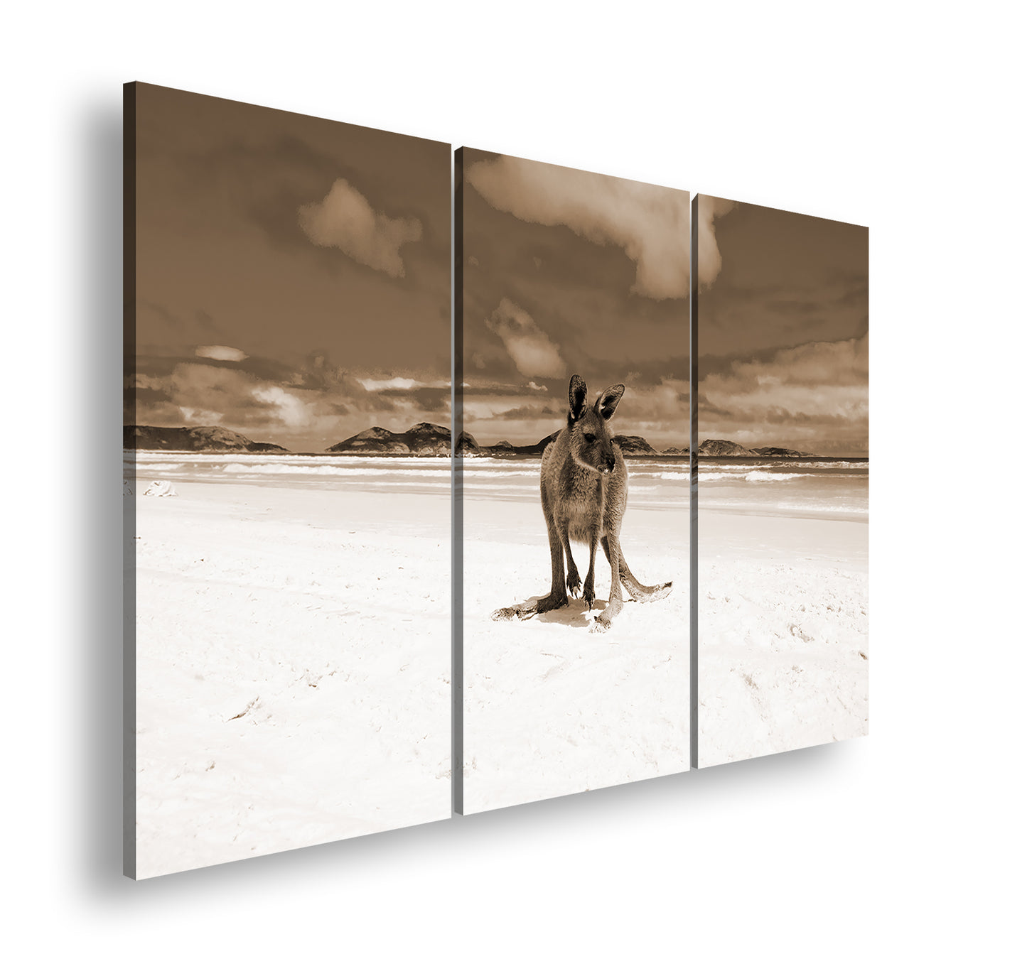 Hauptbild Sepia 3 Teilig