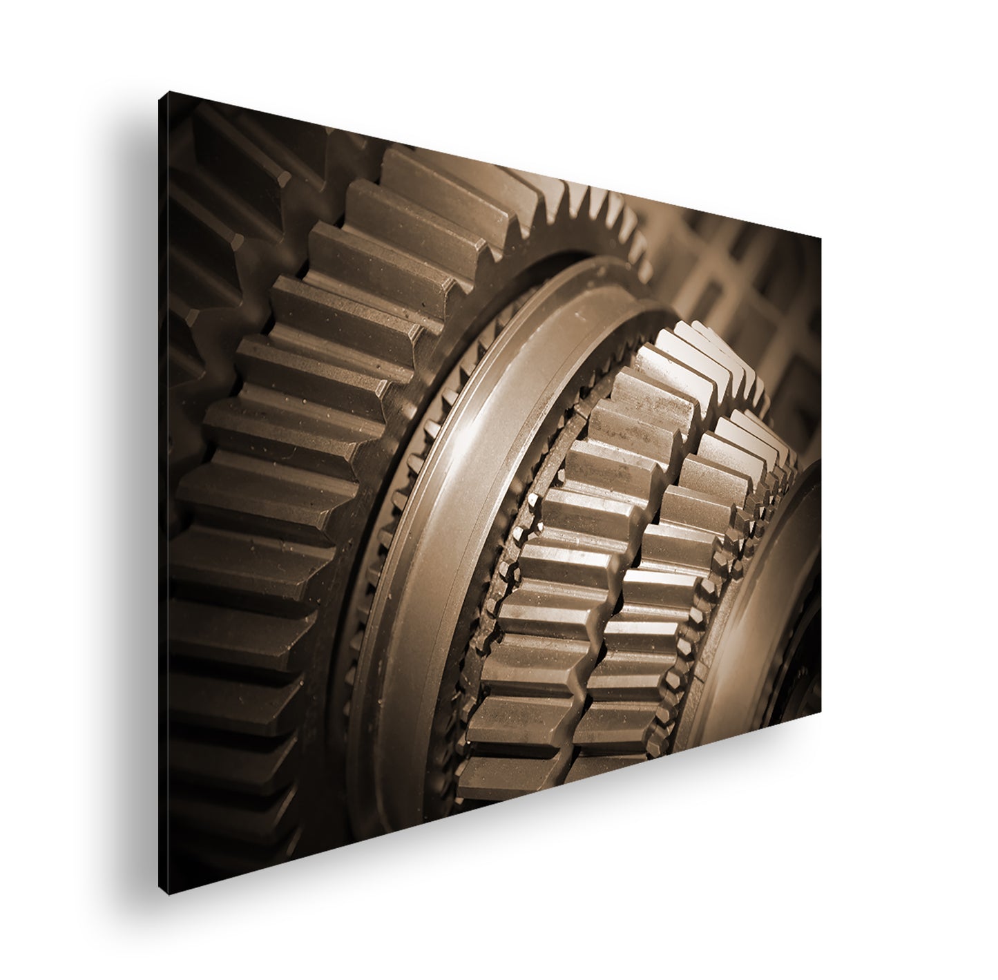 Hauptbild Sepia Standart