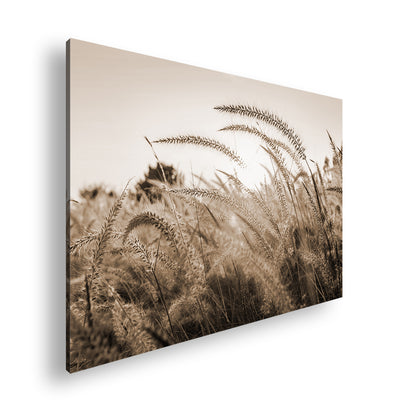 Hauptbild Sepia Standart