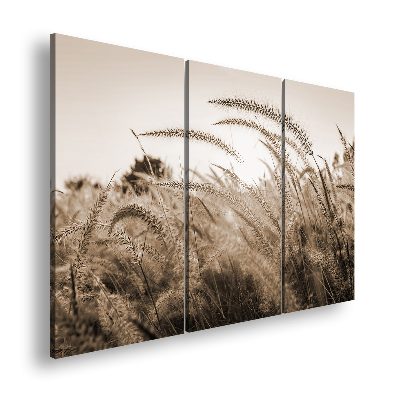 Hauptbild Sepia 3 Teilig