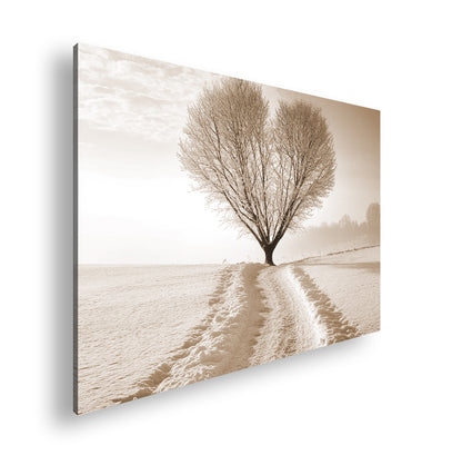 Hauptbild Sepia Standart