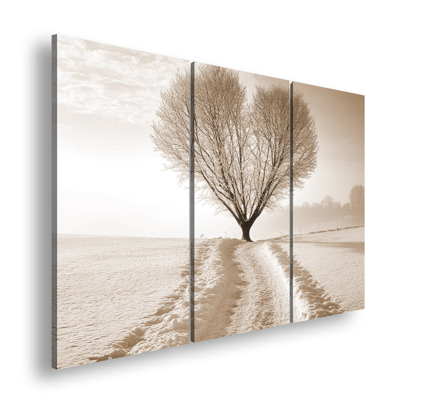 Hauptbild Sepia 3 Teilig