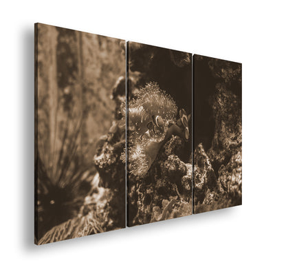 Hauptbild Sepia 3 Teilig